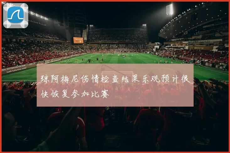 琼阿梅尼伤情检查结果乐观预计很快恢复参加比赛